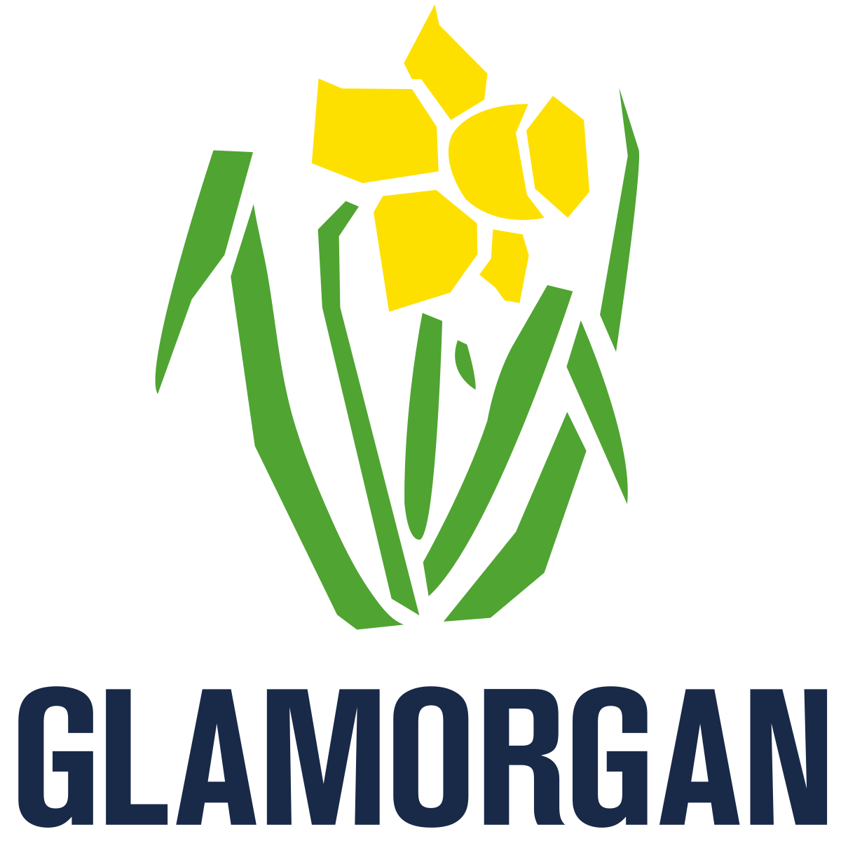 Glamorgan County Cricket Club